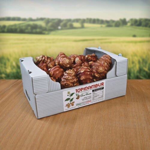Noci di topinambur fresche in scatola con etichetta.